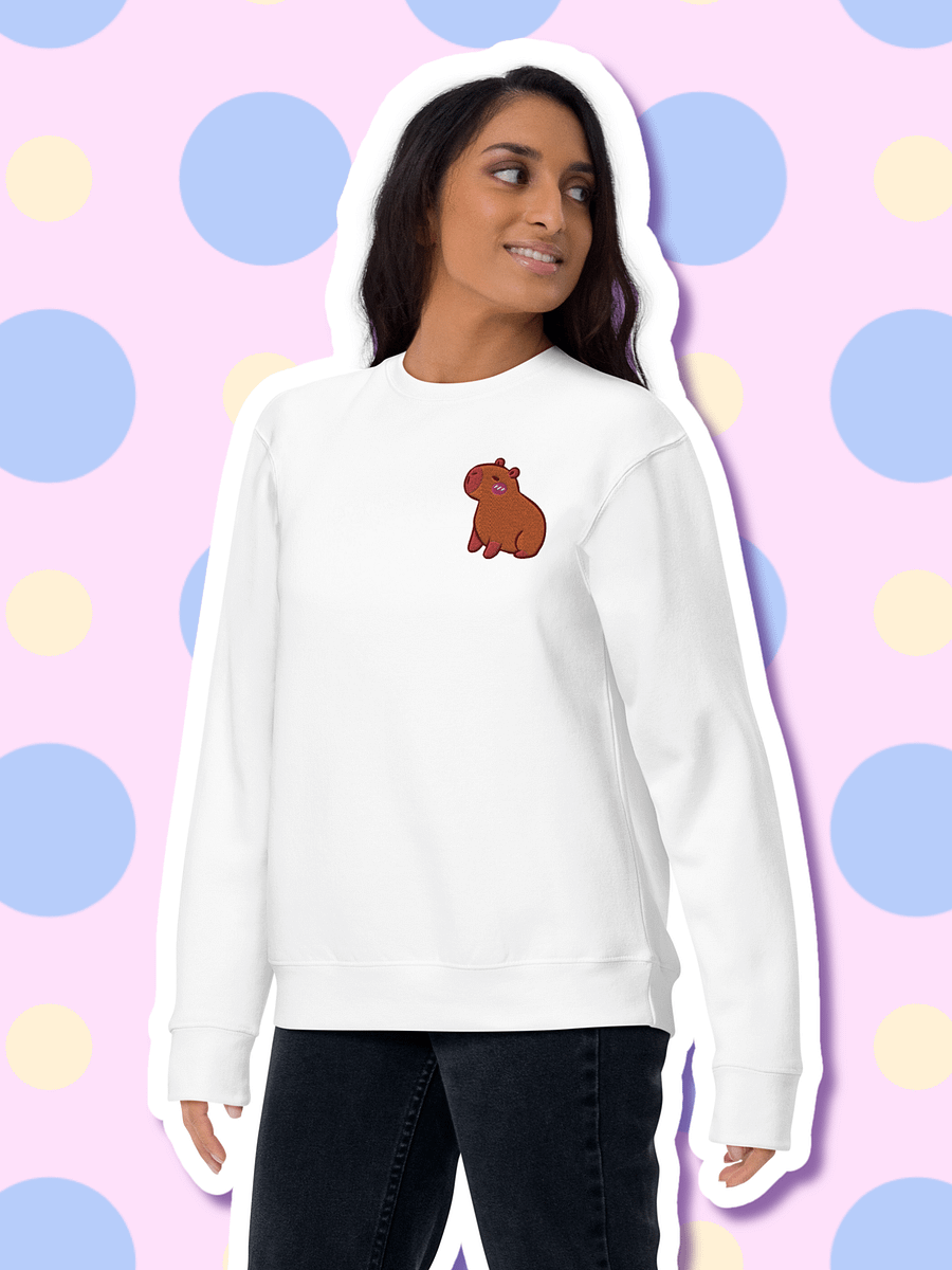 Cute Capybara Embroidered Premium Sweatshirt product image (4)