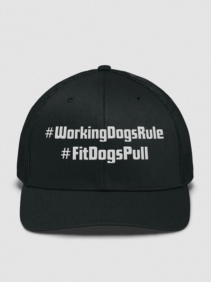 # Tag Hat product image (1)
