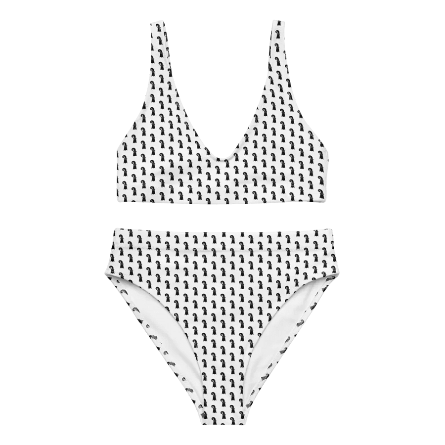 #BASEL Bikini product image (5)