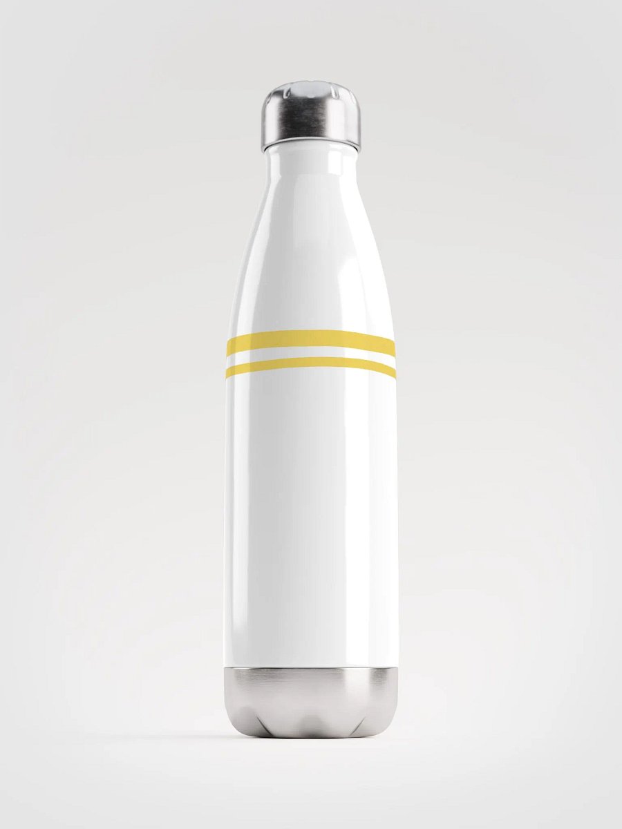 Stainless Steel Water Bottle product image (1)