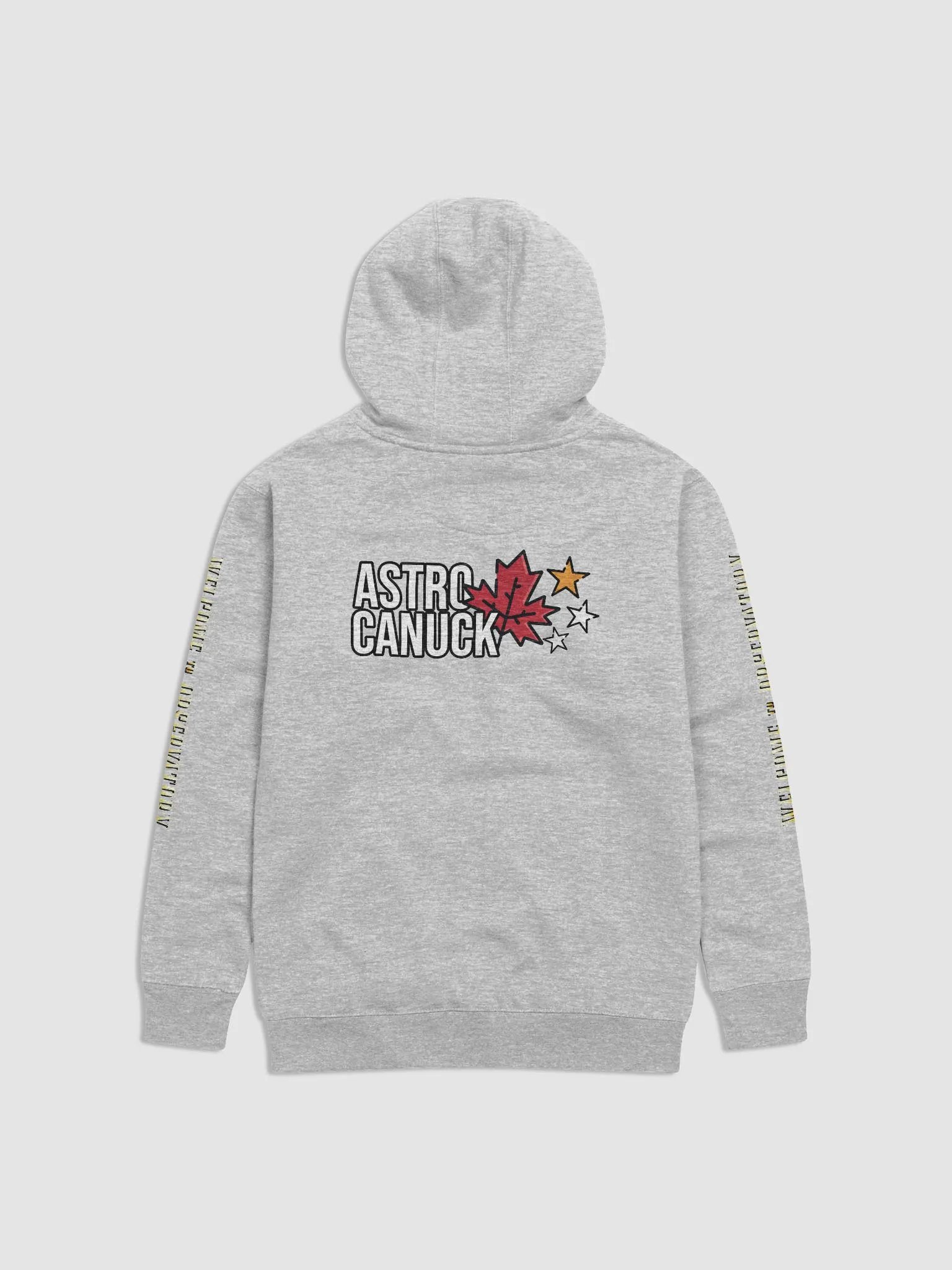 Welcome to the Observatory - Hoodie product image (6)