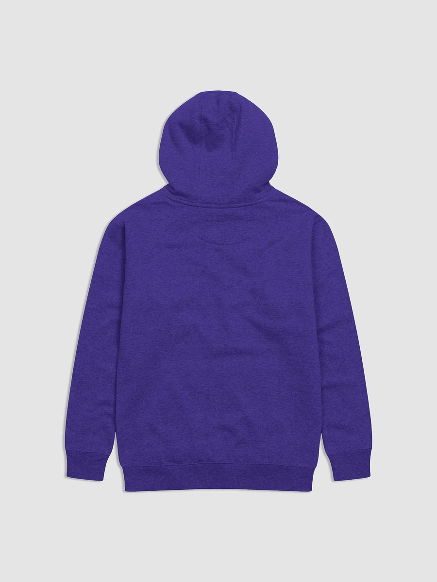 NvS Typography, State Hoodie product image (3)