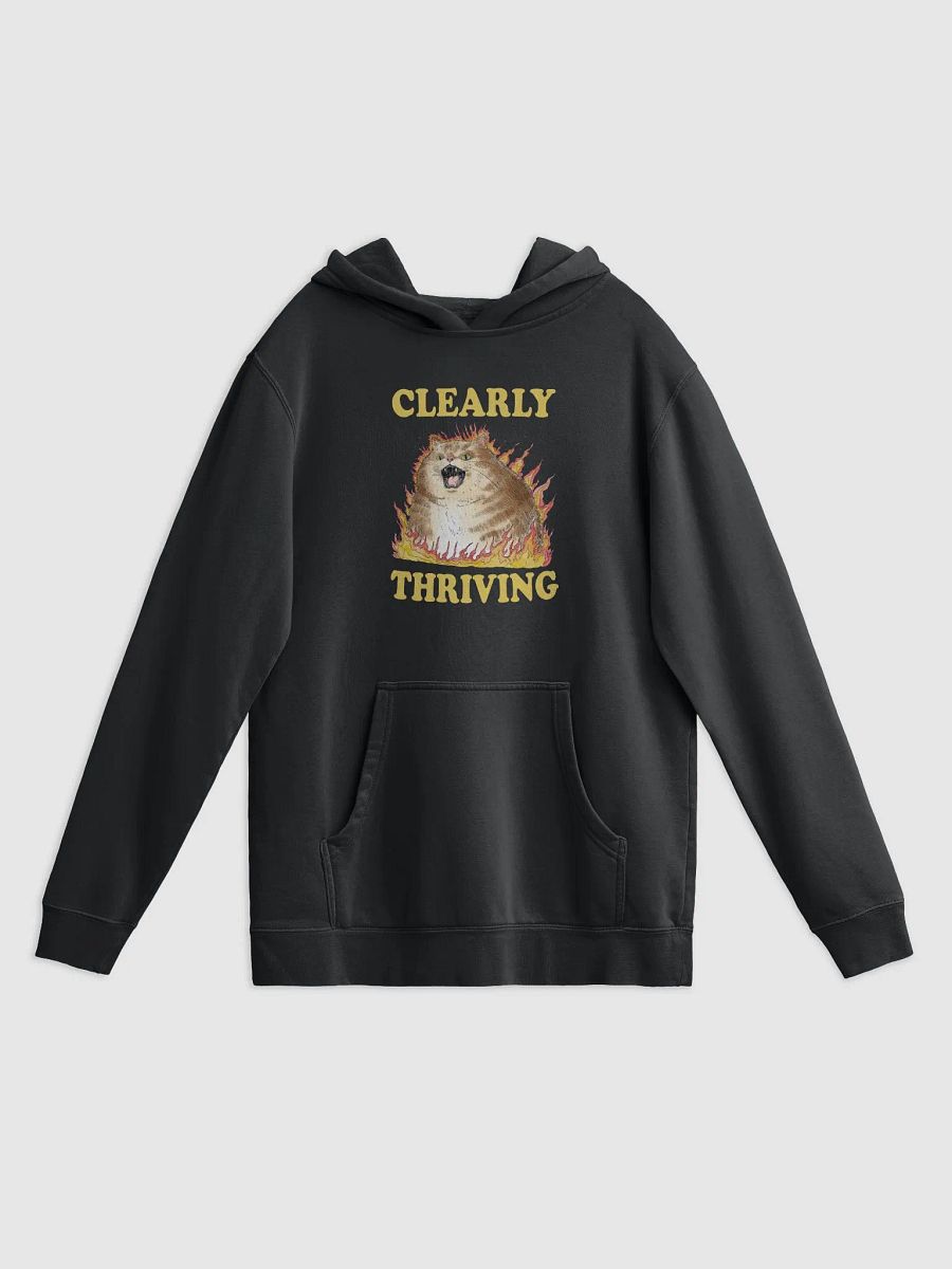 Clearly Thriving - Hoodie product image (1)