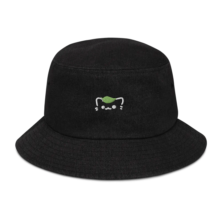Cat Leaf ₊˚⊹♡ product image (1)