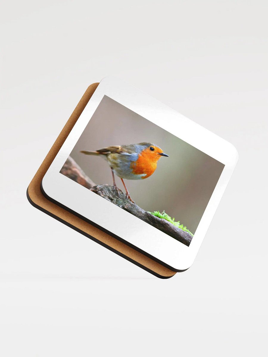 bird coaster product image (5)