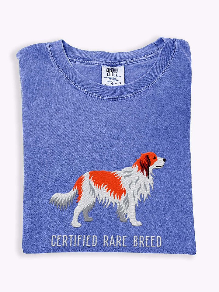 Certified Rare Breed T-Shirt(Embroidered) of a Kooikerhondje product image (1)