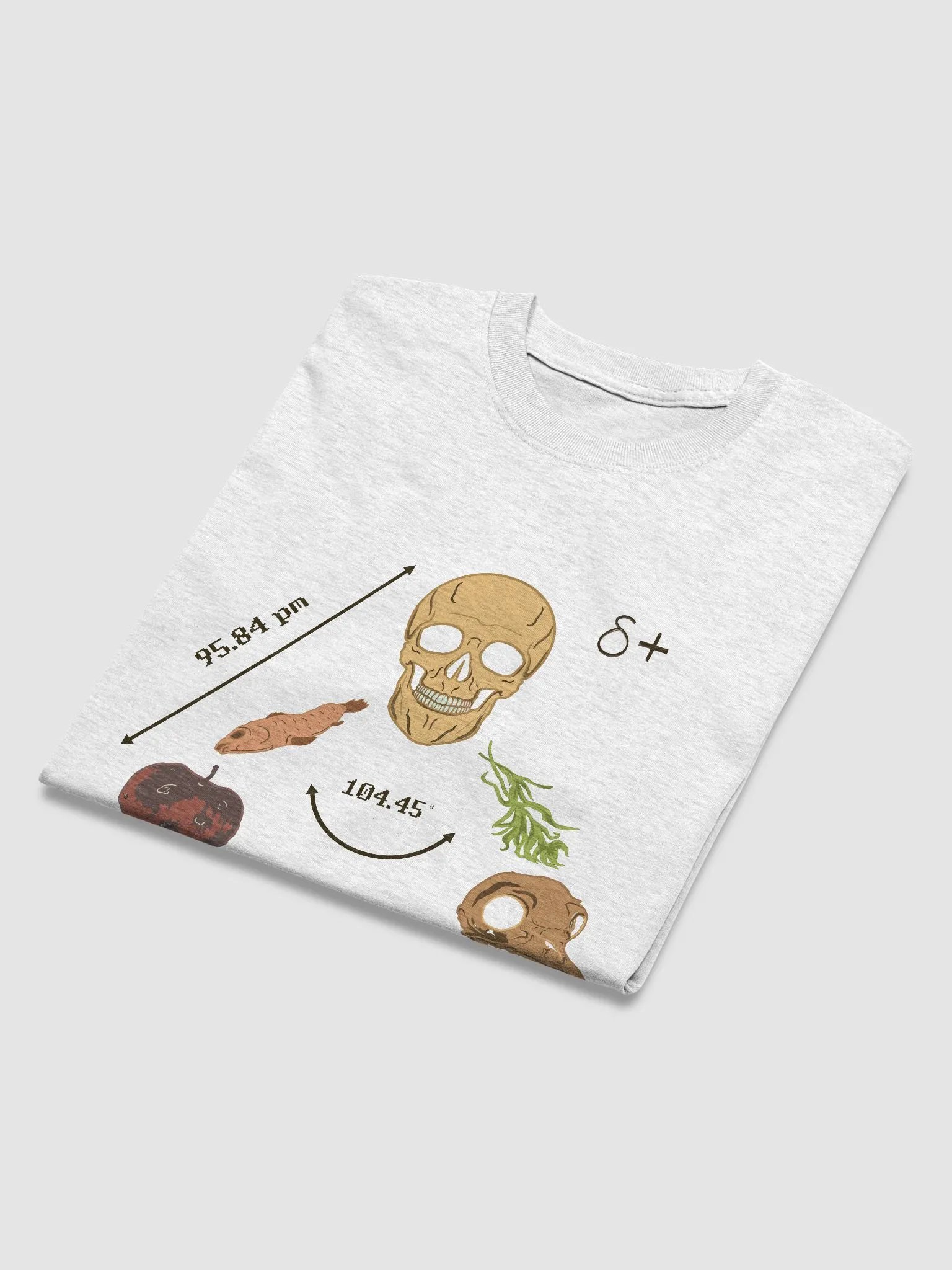 Saga Hydropolitique product image (4)