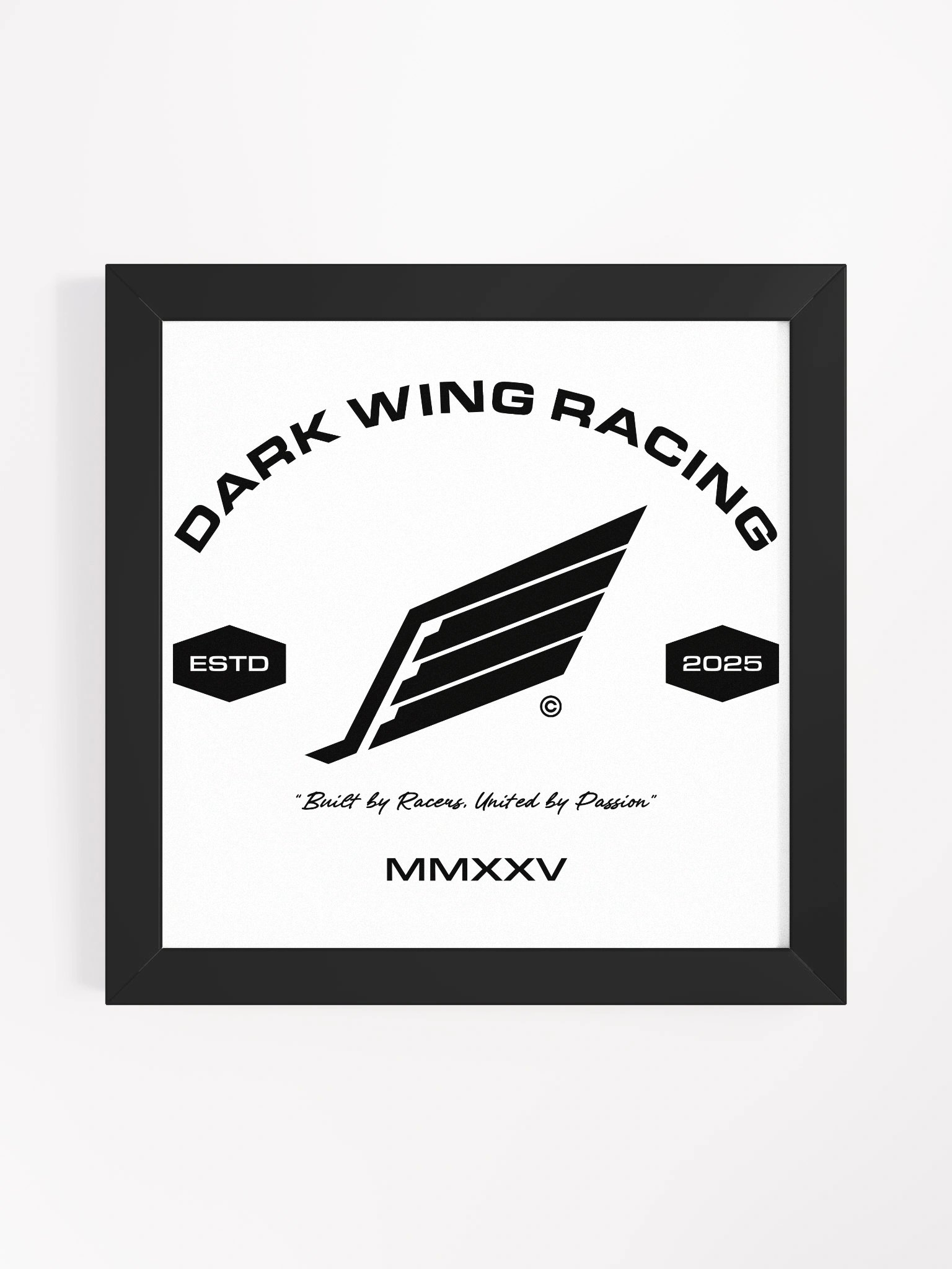 DWR Framed Crest White Canvas product image (12)