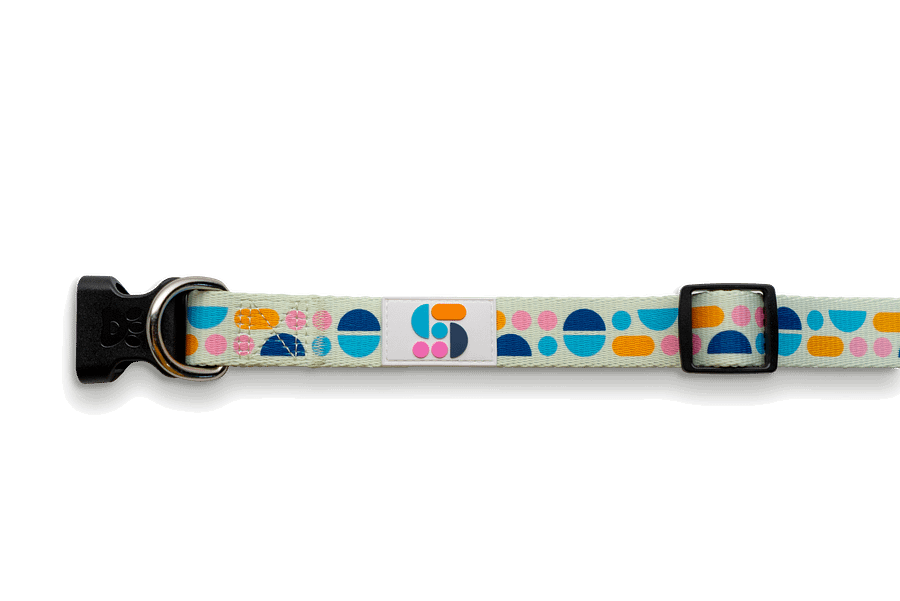 Studio Dog Collar product image (2)