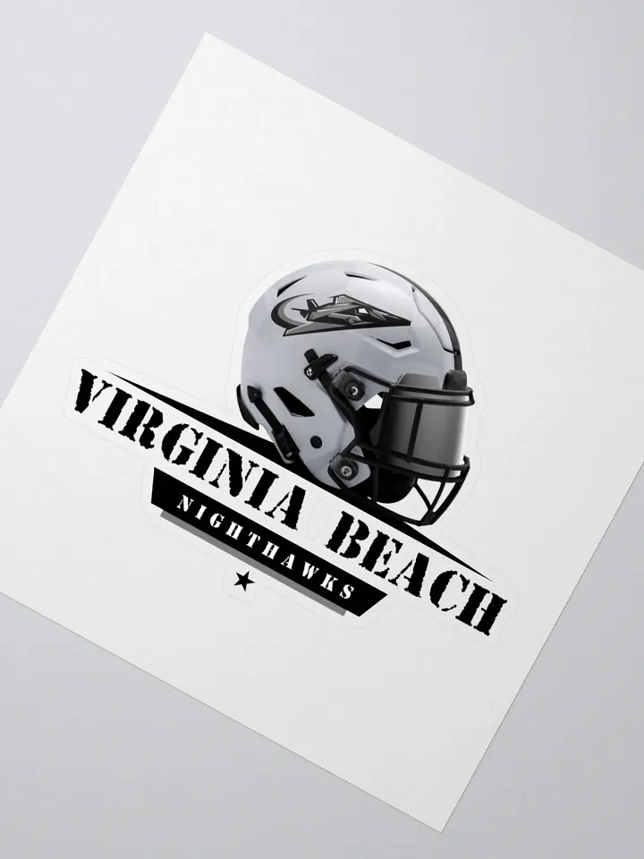 Virginia Beach Nighthawks Stickers product image (2)