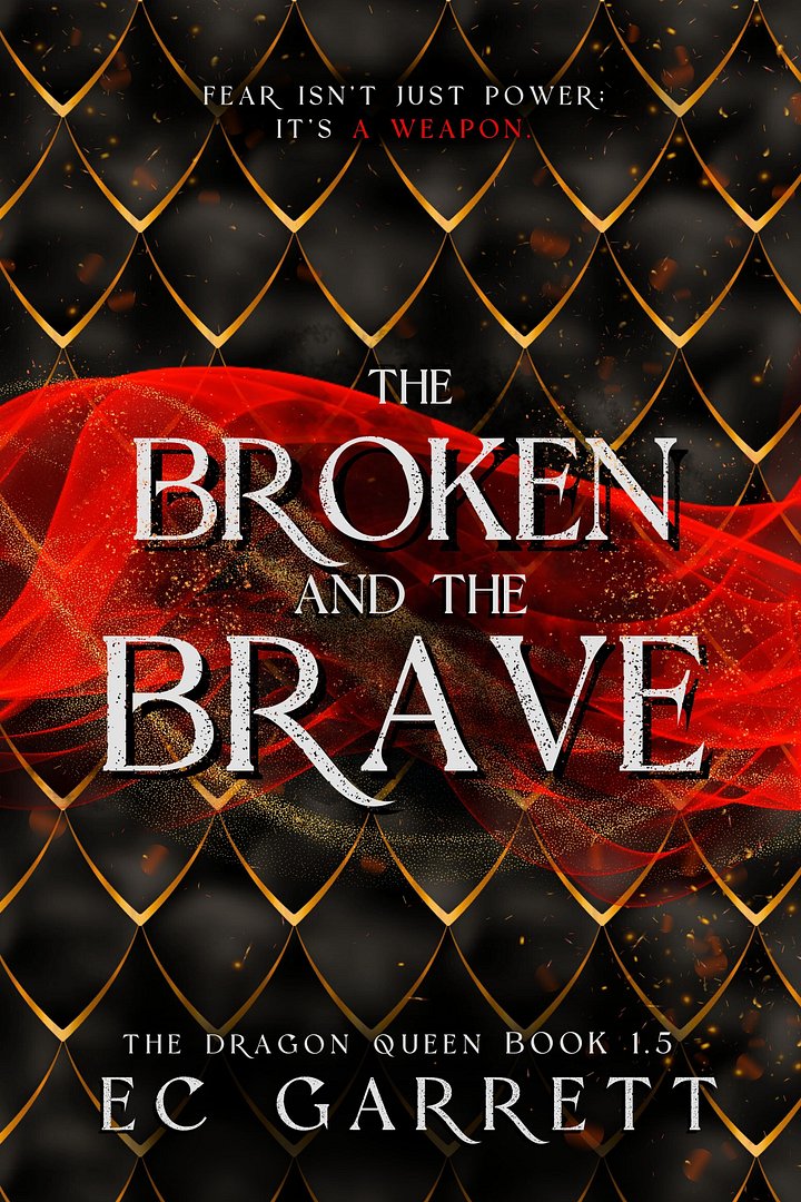 The Broken and The Brave Collector's Edition Hardback product image (1)