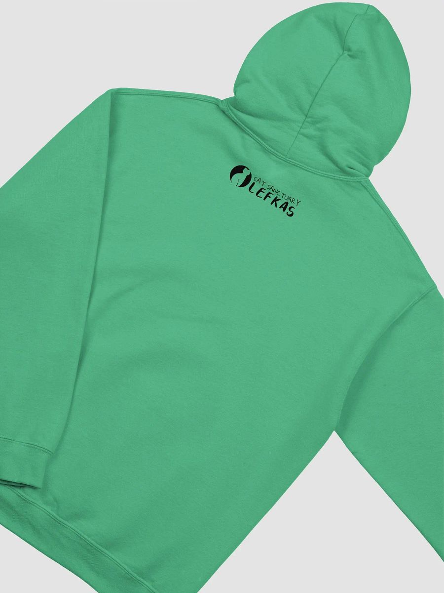 dont worry im from tech support Hoodie product image (4)