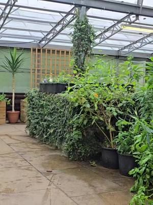 Would you be surprised to know that there is still alot of people unaware we are right on their doorstep?. We want our beautiful tropical butterflies to reach everyone locally, you most probably have visited us if you are reading this post so you will already know how beautiful, tranquil and peaceful it is in the butterfly garden. This video showcases just what an experience it really is. Let's use the power of social media, could you share this video for us, let's get the word out further that we have over 1,000 tropical butterflies in Bexley ! On behalf of the London Butterfly Gardens Team, thank you for sharing this post and visiting us. #bexley #hallplace #hallplacebexley #hallplaceandgardens #londonbutterflygardens #londonbutterflygarden #sidcup #Crayford #dartford #erith #welling #bexleyheath #ebbsfleet #swanley #joydenswood #swanscombe #northfleet #gravesend #bromley #orpington #Chistlehurst #meopham #blackfen #greenwich #falconwood #blendon #blackheath #Lewisham #abbeywood #thamesmead 