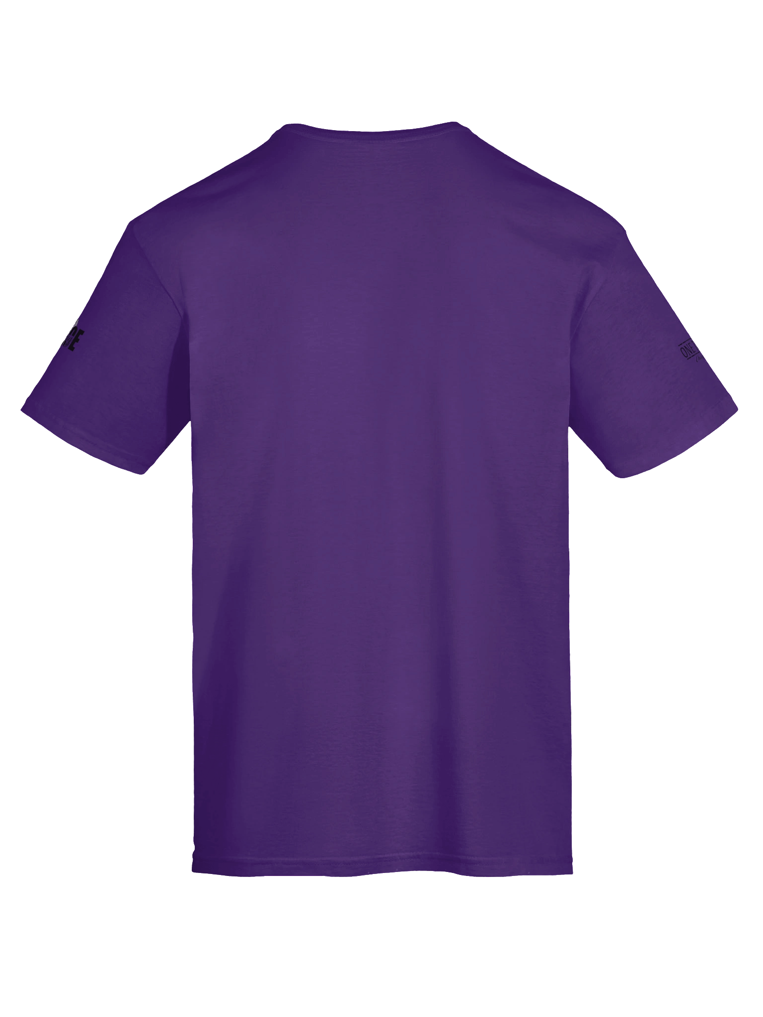 Walking in Grace product image (97)