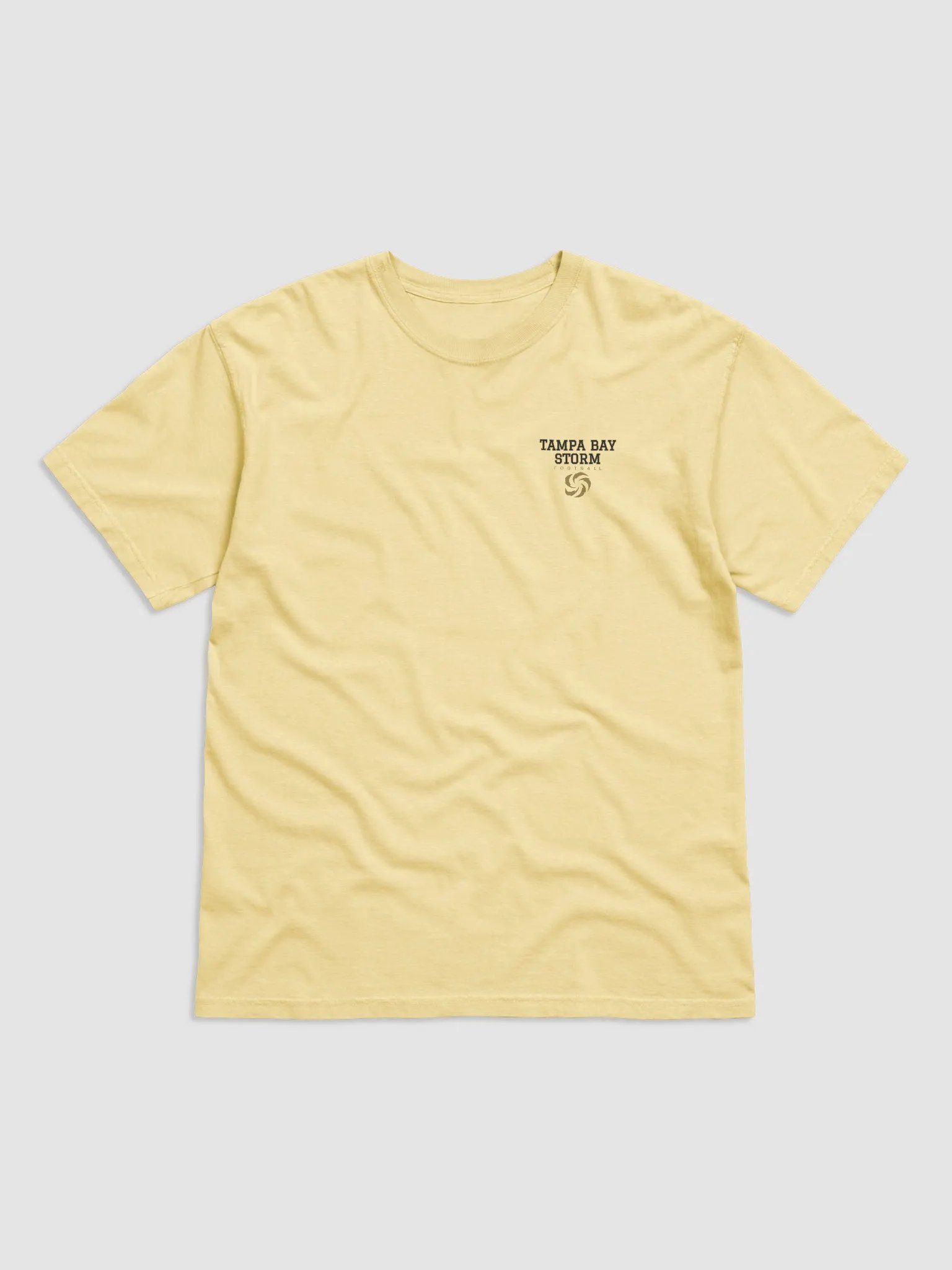 Tampa Bay Storm T-Shirt by Comfort Colors product image (8)