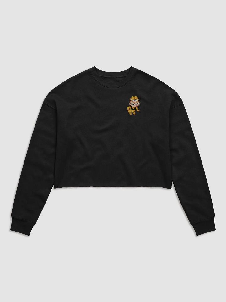 Sexi Gafoog Crop Sweatshirt product image (1)