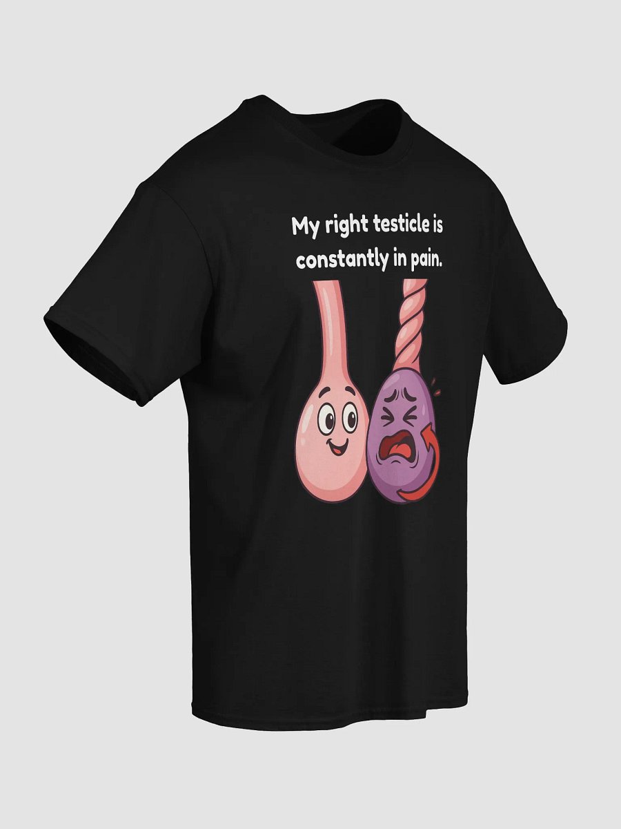 My right testicle is constantly in pain. Limited Edition Premium Tee-Shirt product image (5)