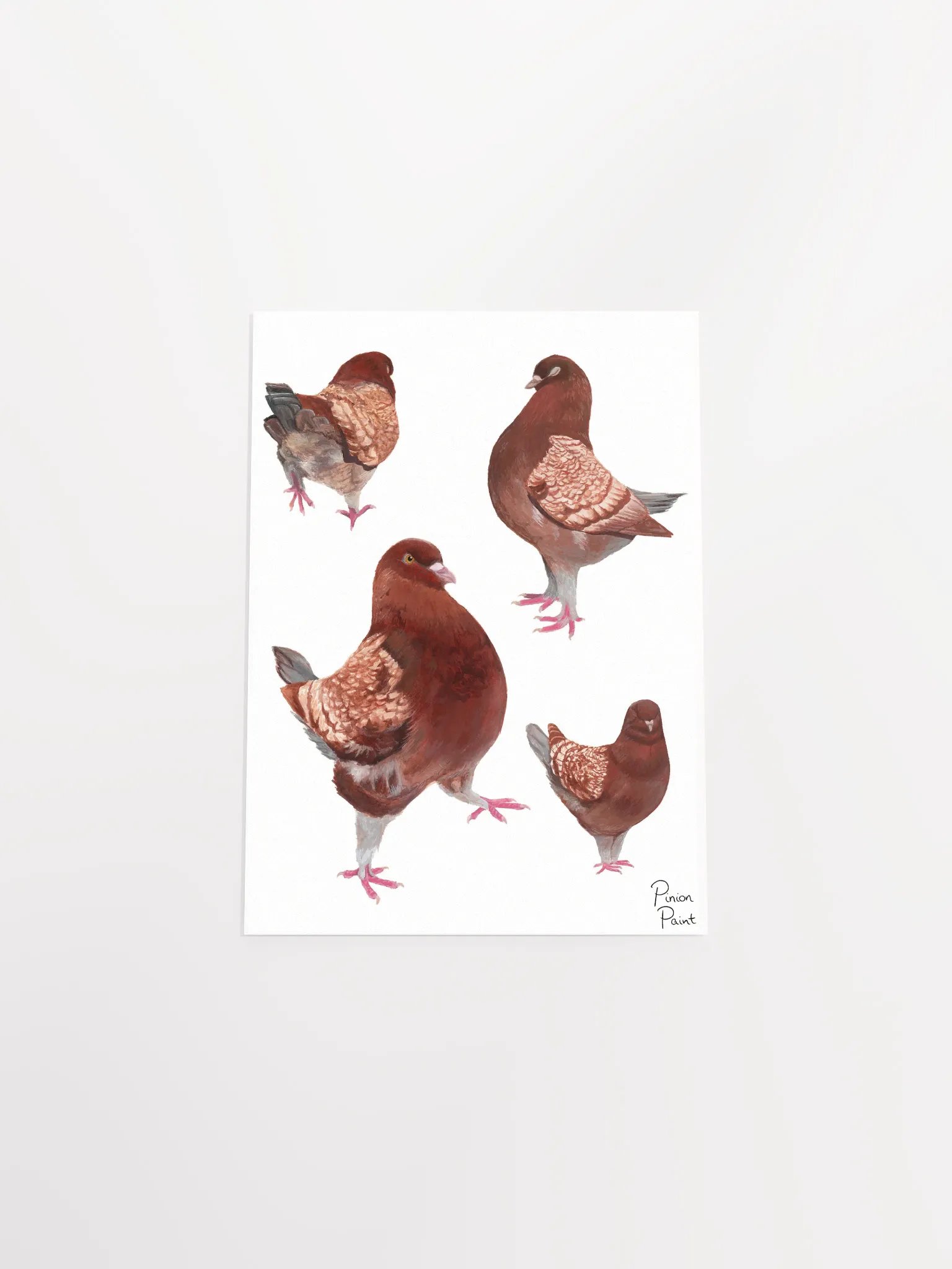 Merlot pigeon print product image (4)