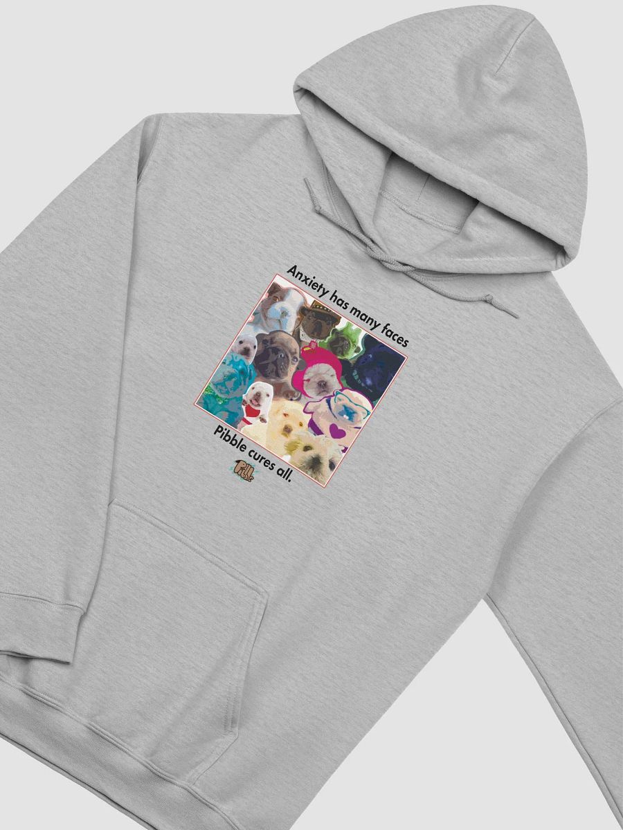 PIBBLE CURES ANXIETY HOODIE product image (2)