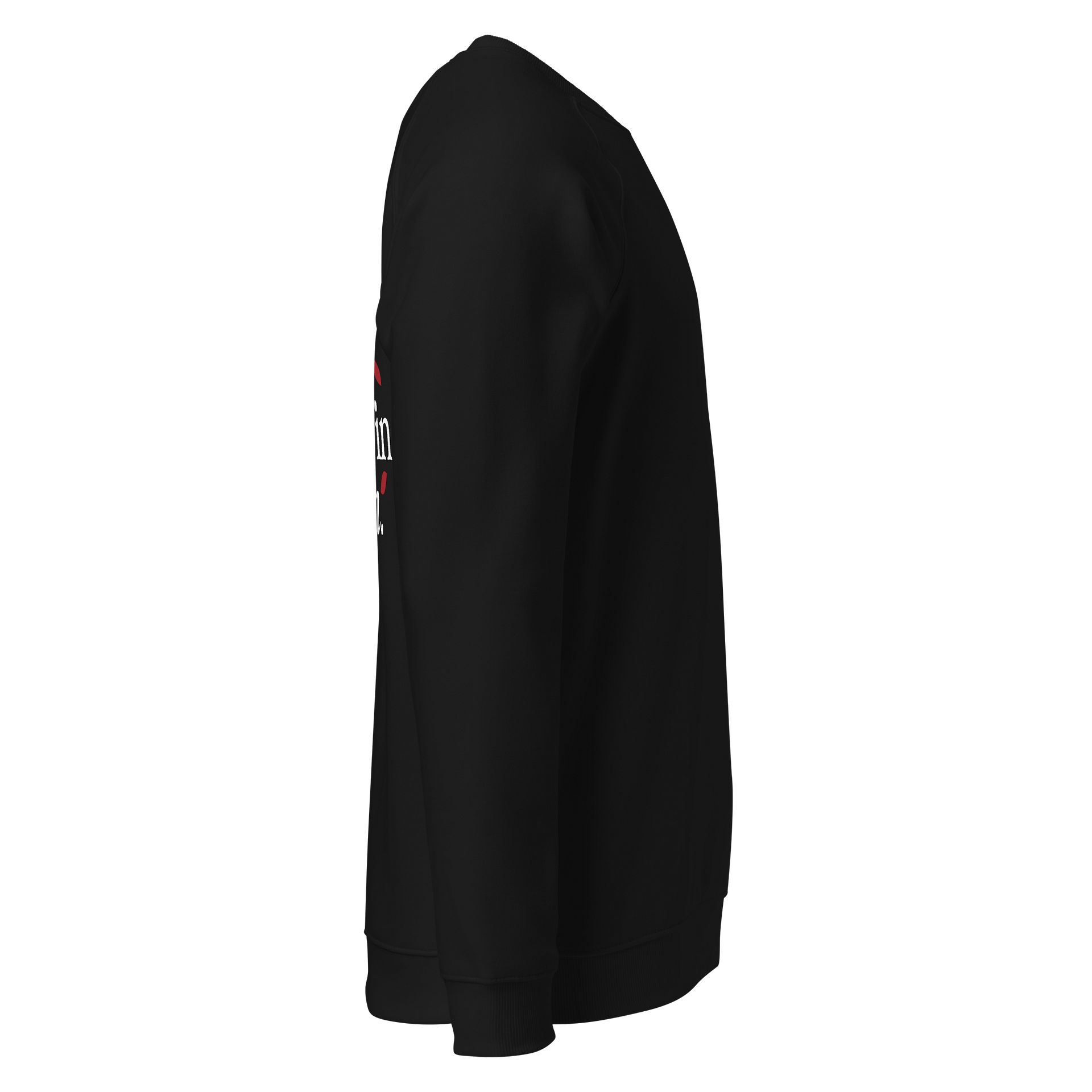 SOL'S Unisex Organic Raglan Sweatshirt product image (4)