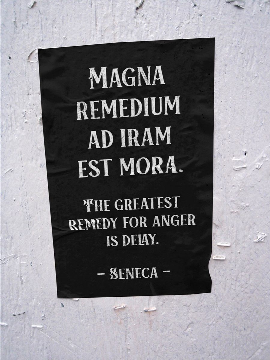 Seneca Stoic Quote Printable Poster product image (2)