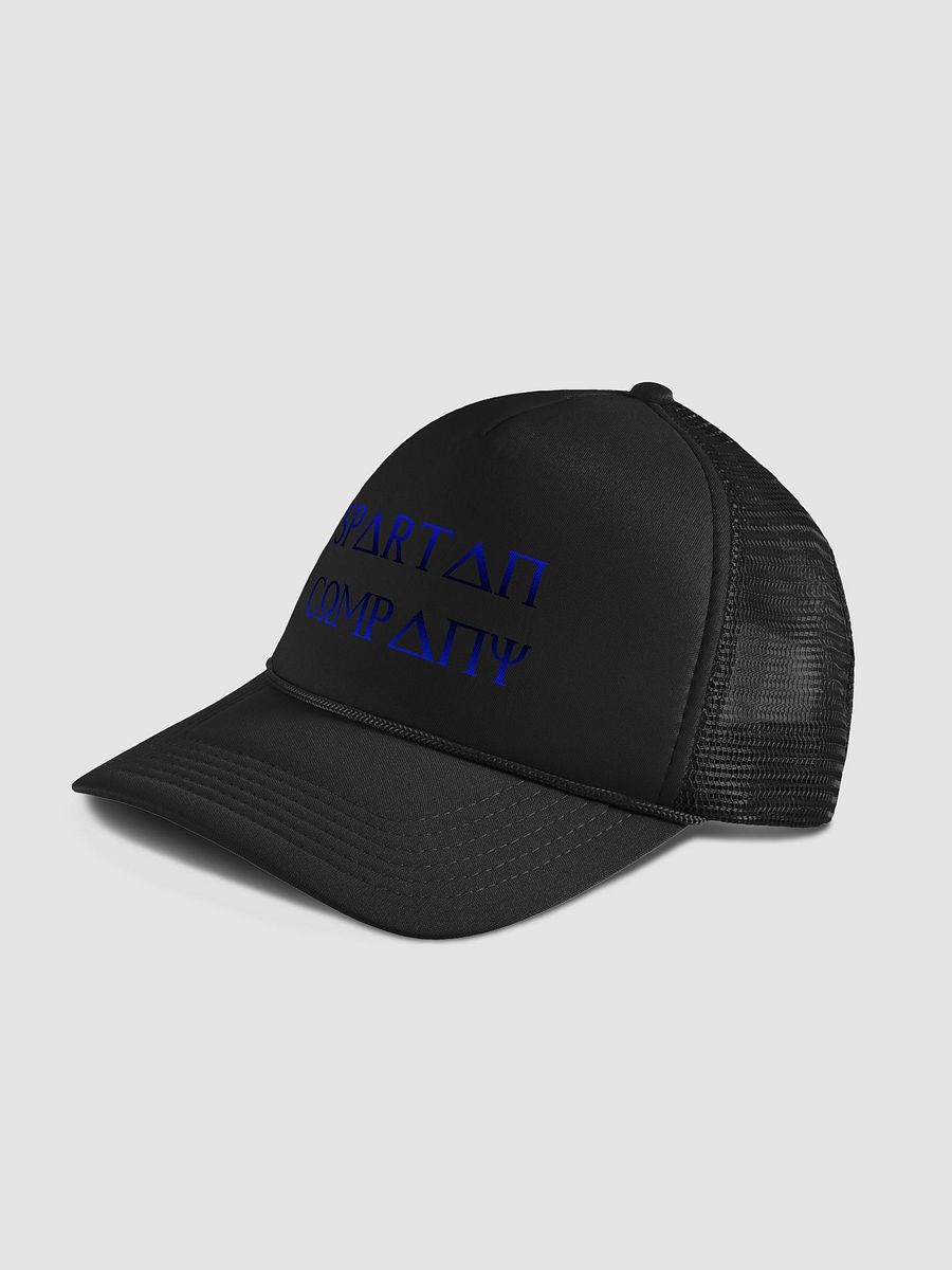 Spartan Company Dad Hat product image (17)