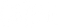 OBZENE