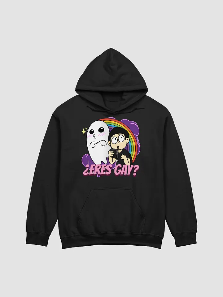 ¿Eres Gay? | Sudadera Unisex product image (4)