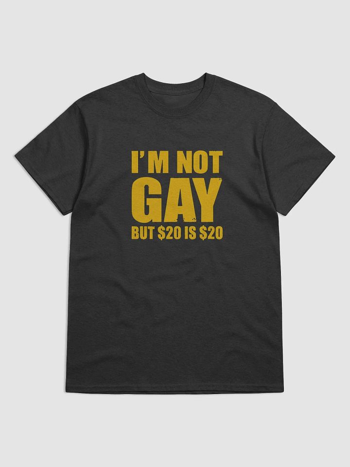 "I'm Not Gay But $20 Is $20 T-shirt - Funny Graphic Sweatshirt for Men/Women" product image (1)