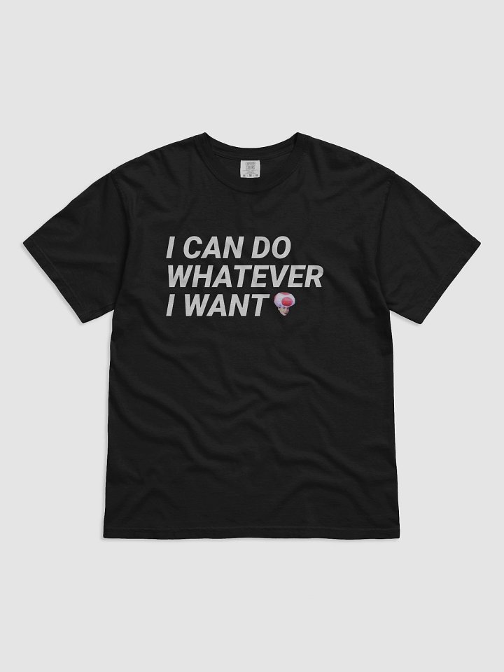 I CAN DO W.E I WANT SHIRT product image (5)