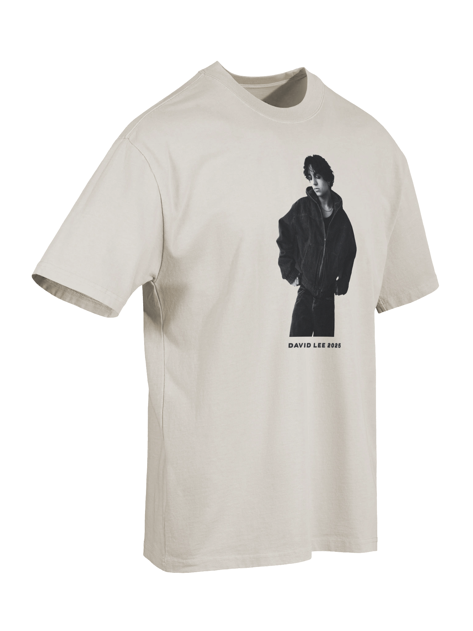 DAVID LEE OVERSIZED FADED T-SHIRT product image (7)