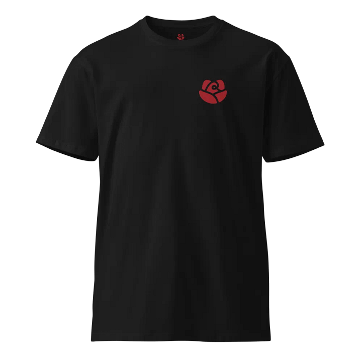AS Colour Unisex Premium T-Shirt product image (1)