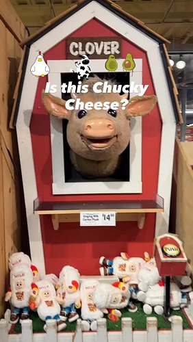 Stew Leonard’s is a ZOO! #grocery #food #shopping #ny