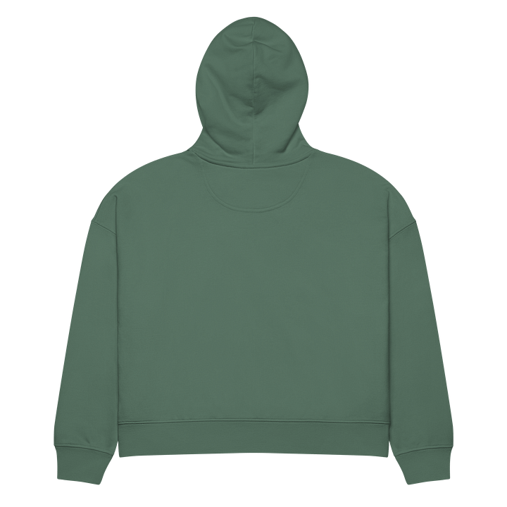Where You Lead, Coffee Will Follow" Hoodie – Gilmore Girls-Inspired Cozy Wear product image (3)