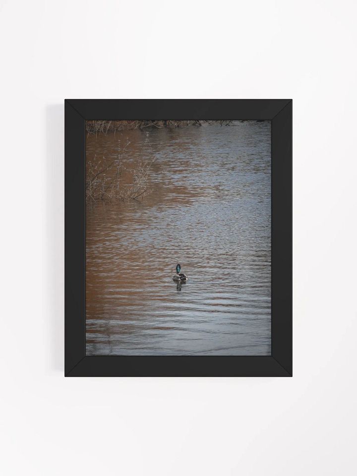 Duck Canvas product image (50)