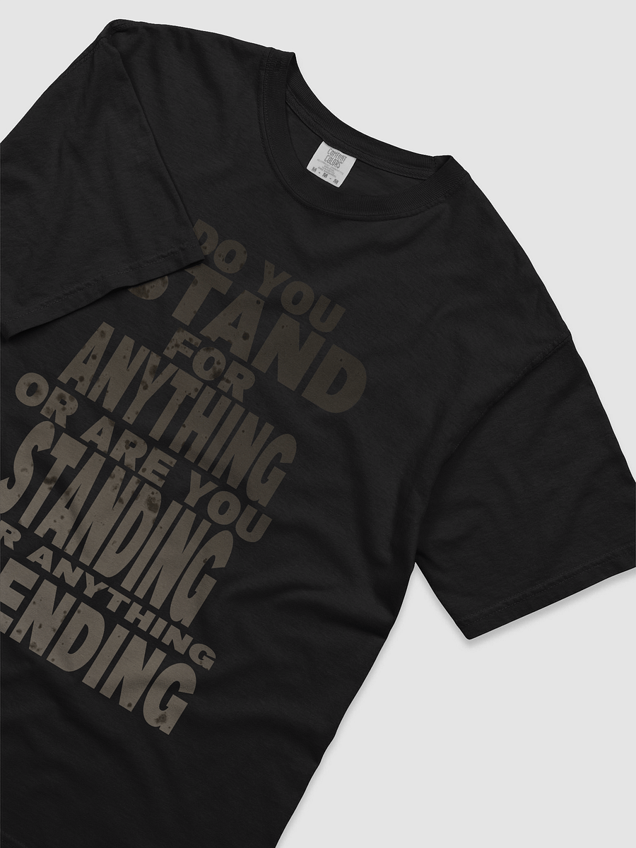 Stand For Something Heavyweight Tee product image (37)