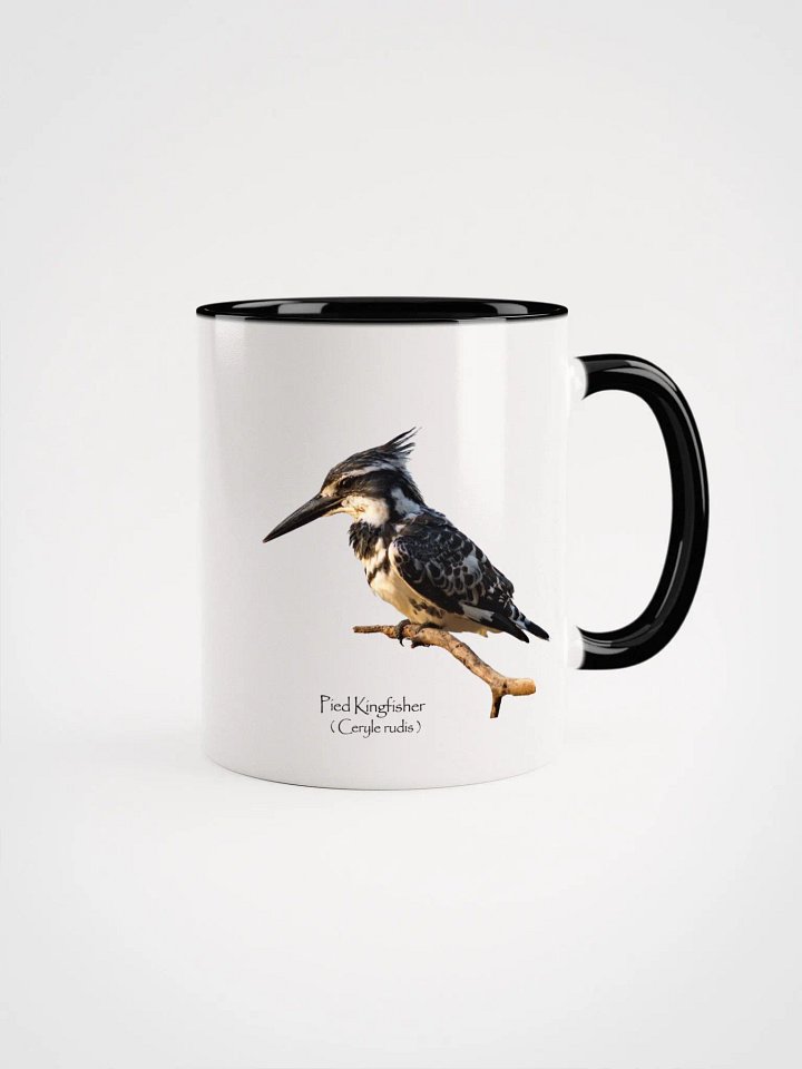 Pied Kingfisher mug product image (6)