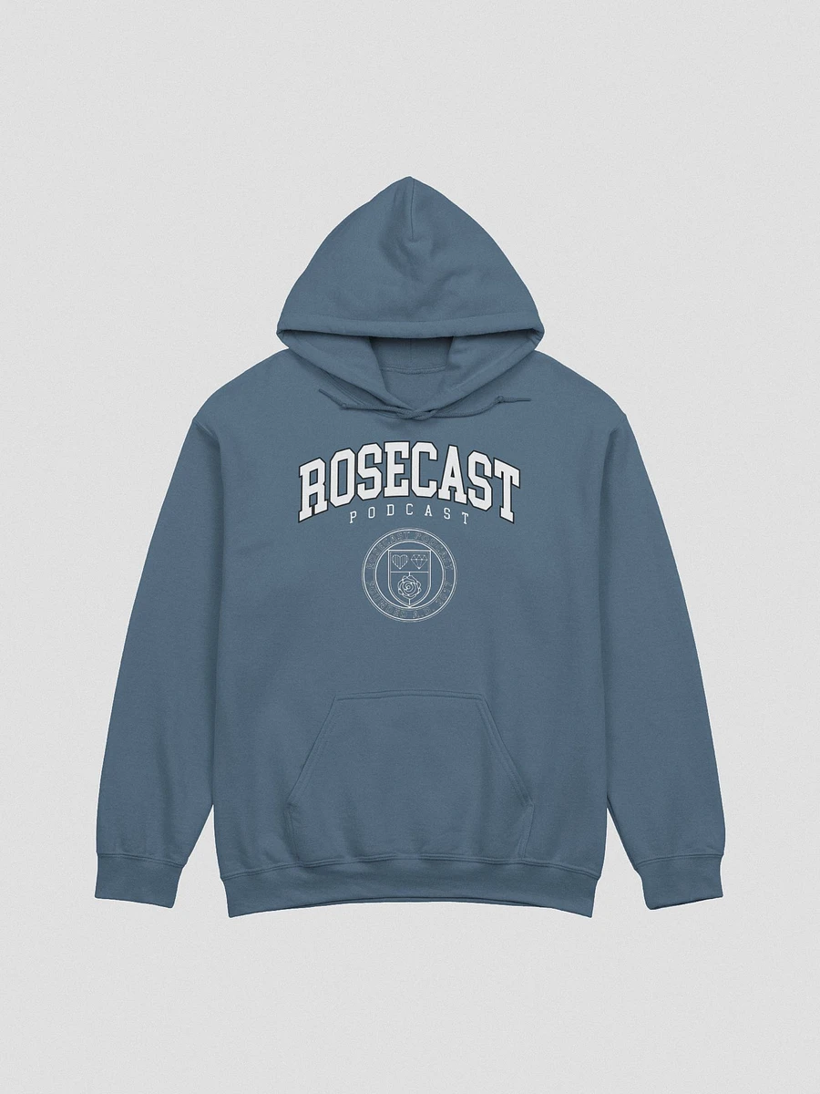 Fancy College Hoodie product image (1)