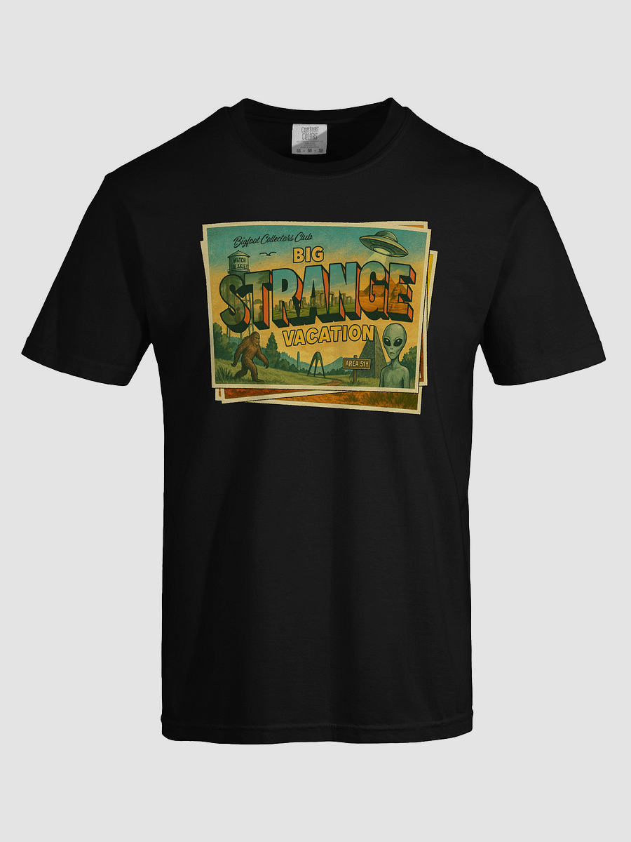 Big Strange Vacation product image (35)