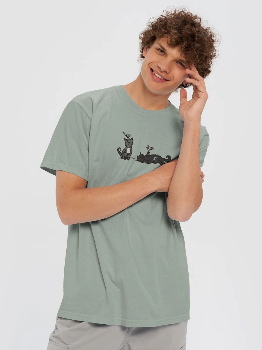 Birb Friends // Comfort Colors Garment-Dyed Heavyweight T-Shirt product image (45)