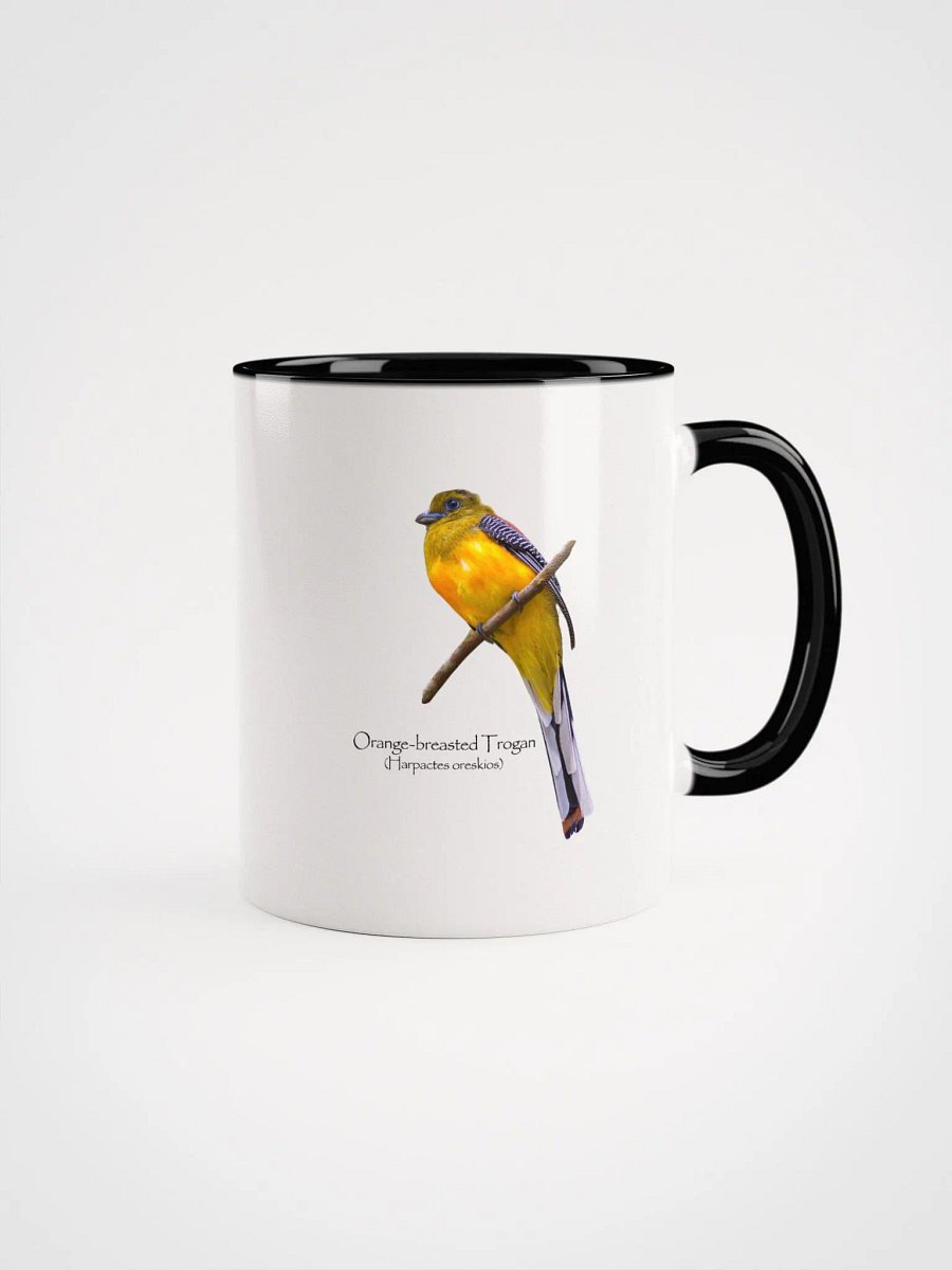 Orange-breasted Trogan mug product image (5)