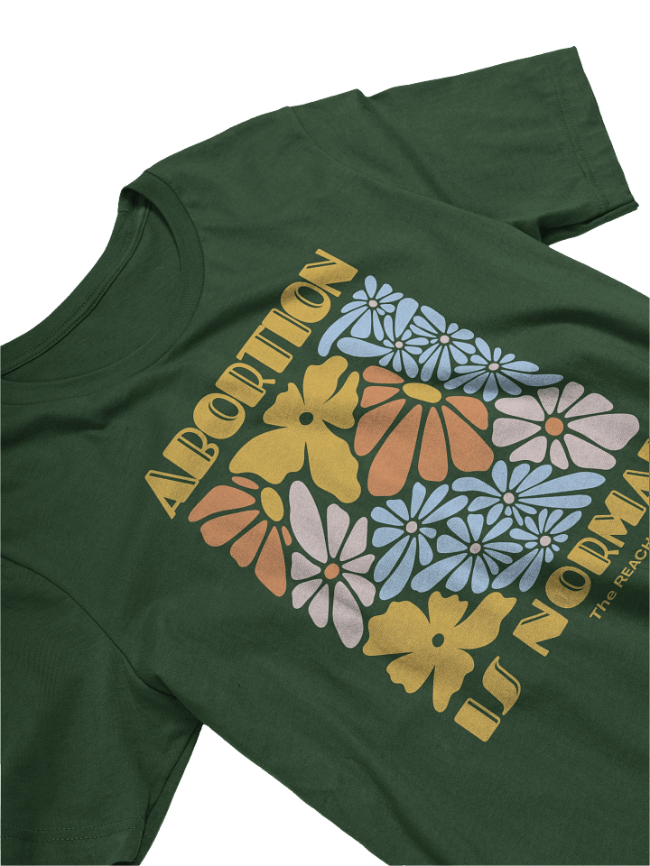 Abortion is Normal product image (2)