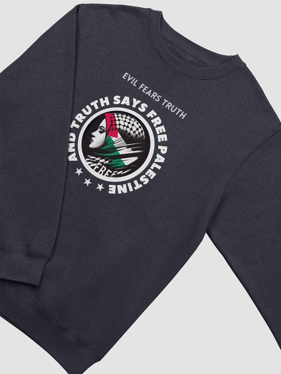 Free Spirit Profile Crewneck Sweatshirt | Evil fears truth, and truth says: Free Palestine. product image (15)