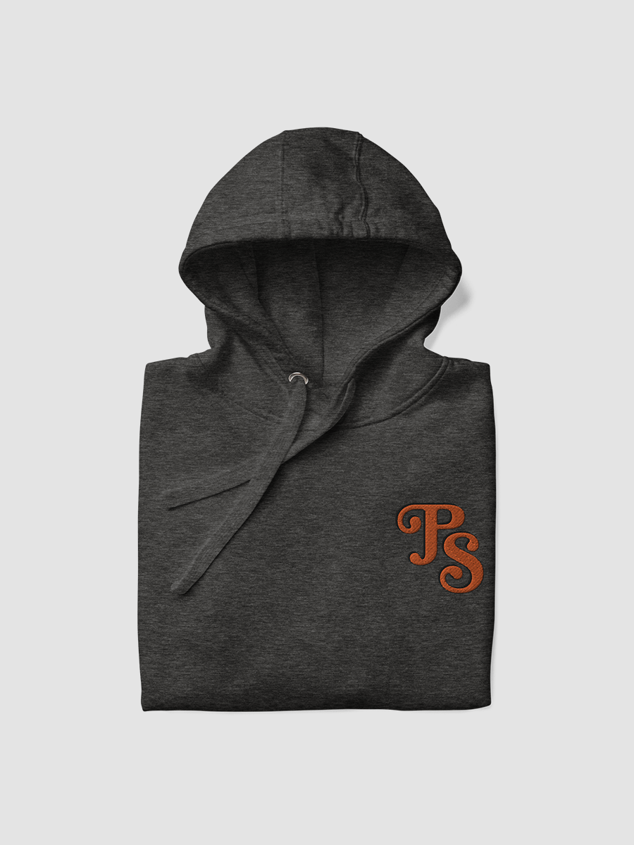 Popular Science Retro Logo Embroidered Hoodie product image (6)