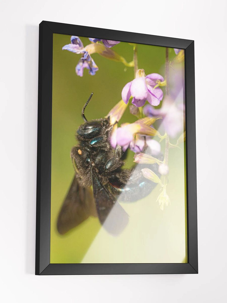 Bee Yourself product image (5)