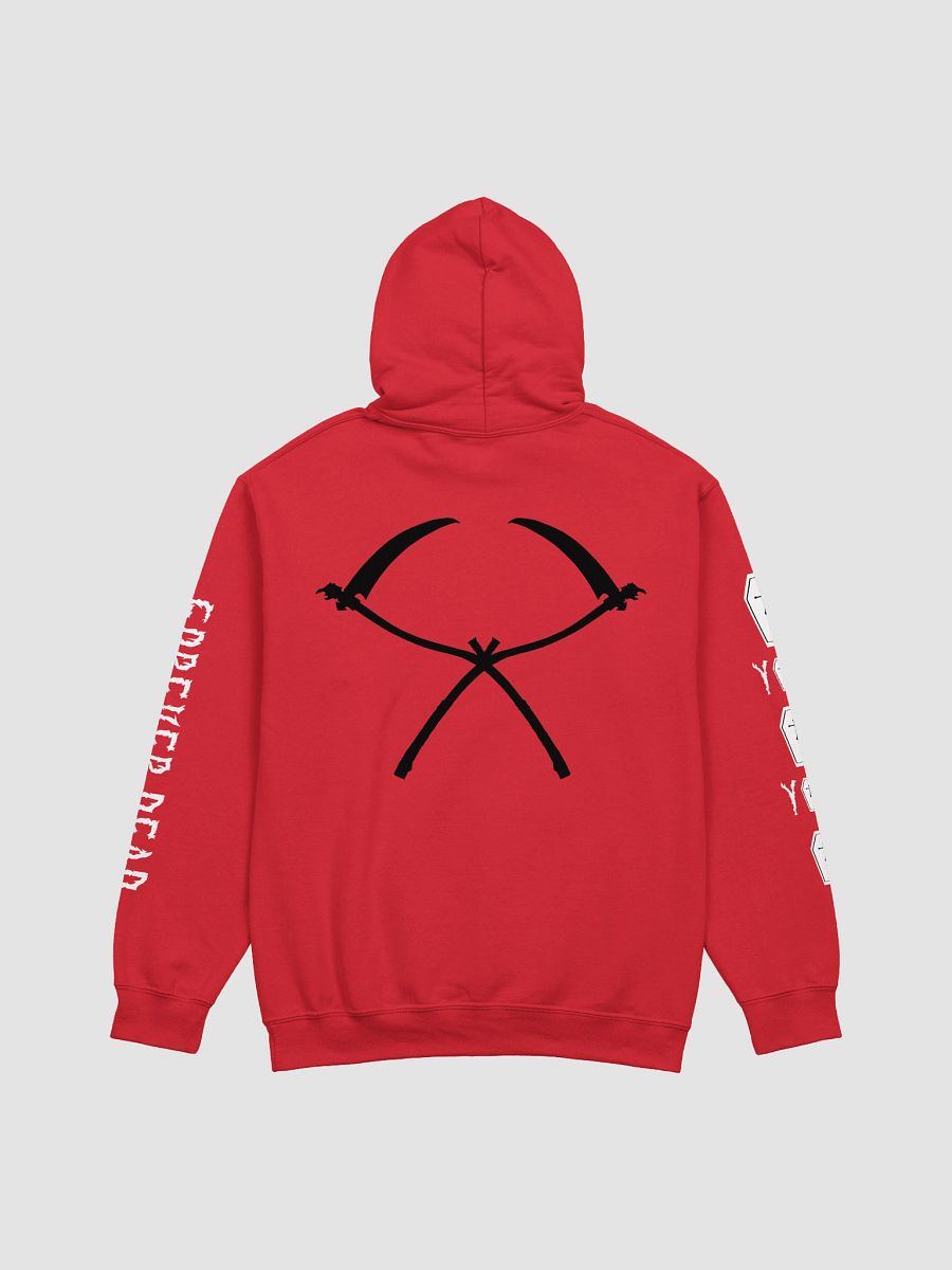 E.N.D of Life Hoodie (Red) product image (2)