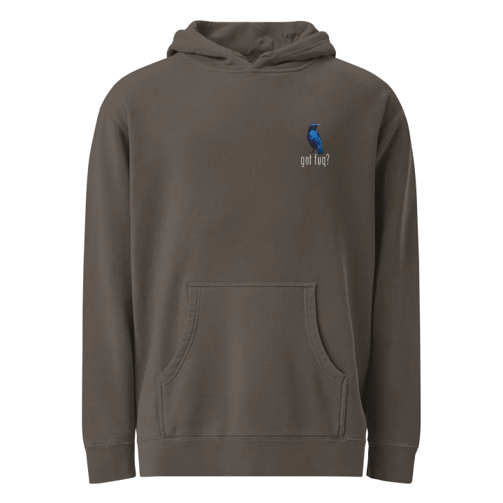 Ron Collection - Embroidered Hoodie product image (1)