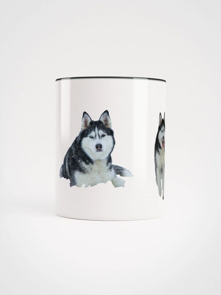 Majestic Siberian Husky with two different colored eyes product image (1)