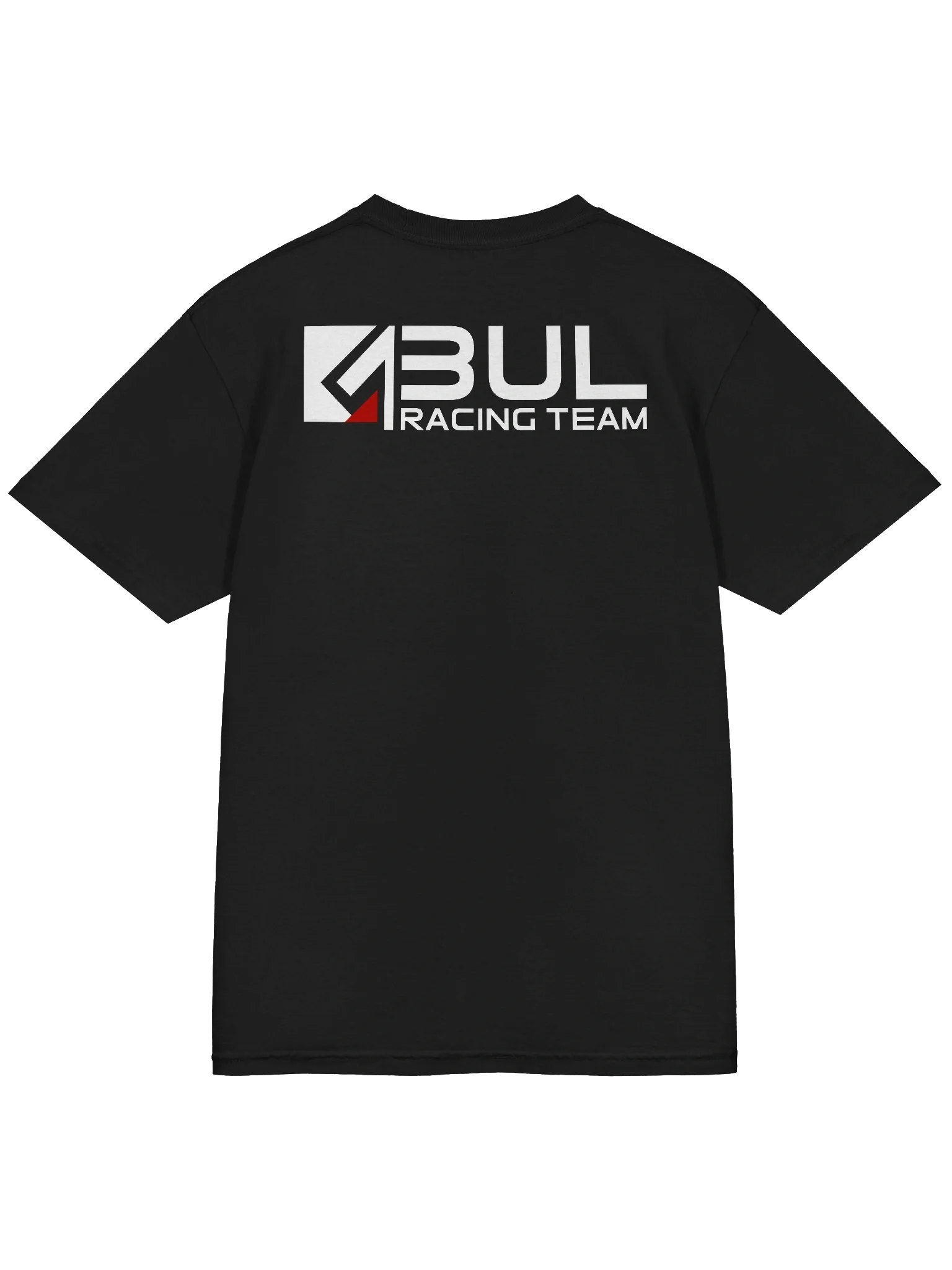 BUL TEAM V | Dyed Heavyweight T-Shirt product image (23)