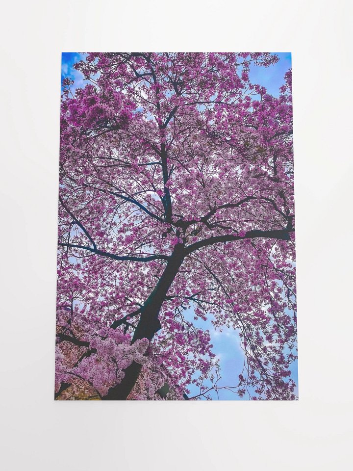 Blush In Bloom product image (1)